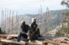 shimlaatwork_small.jpg